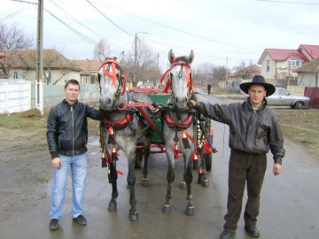 Botezul cailor, la Kogălniceanu: armăsarul lui Bonea, tânărul ucis anul trecut, a câştigat cursa de viteză